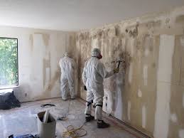 Mold Remediation for Vacation Homes in Keokea, HI